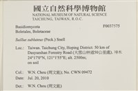 登錄號:F0037575藏品圖，第2張