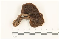 登錄號:F0037575藏品圖，第3張