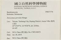 登錄號:F0037576藏品圖，第2張