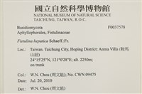 登錄號:F0037578藏品圖，第2張