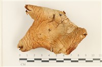 登錄號:F0037579藏品圖，第1張