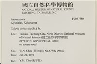 登錄號:F0037580藏品圖，第2張