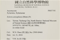登錄號:F0037581藏品圖，第2張