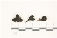 登錄號:F0037581藏品圖，第1張