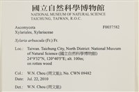 登錄號:F0037582藏品圖，第2張