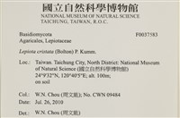 登錄號:F0037583藏品圖，第2張