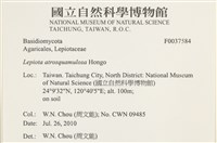 登錄號:F0037584藏品圖，第2張