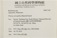 登錄號:F0037585藏品圖，第2張