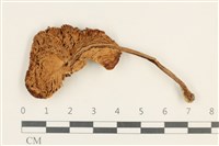 登錄號:F0037585藏品圖，第3張