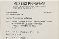 登錄號:F0037586藏品圖，第2張