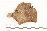 登錄號:F0037586藏品圖，第1張