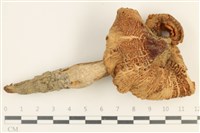 登錄號:F0037588藏品圖，第1張