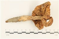 登錄號:F0037588藏品圖，第3張