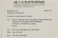 登錄號:F0037589藏品圖，第2張
