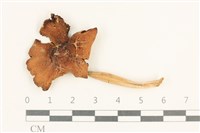 登錄號:F0037589藏品圖，第1張