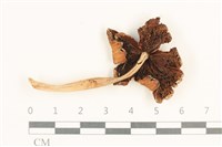 登錄號:F0037589藏品圖，第3張