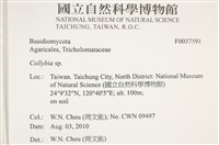 登錄號:F0037591藏品圖，第2張