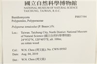 登錄號:F0037594藏品圖，第2張