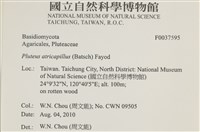 登錄號:F0037595藏品圖，第2張