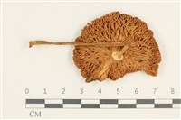 登錄號:F0037595藏品圖，第3張