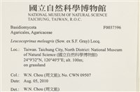 登錄號:F0037596藏品圖，第2張