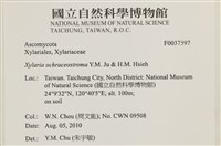 登錄號:F0037597藏品圖，第2張