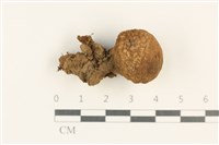 登錄號:F0037598藏品圖，第1張