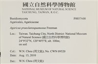 登錄號:F0037600藏品圖，第2張