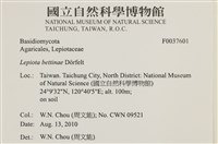 登錄號:F0037601藏品圖，第2張