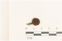 登錄號:F0037601藏品圖，第1張