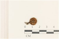 登錄號:F0037601藏品圖，第3張
