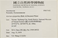 登錄號:F0037602藏品圖，第2張