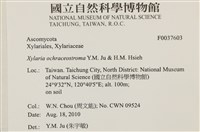 登錄號:F0037603藏品圖，第2張