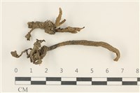 登錄號:F0037603藏品圖，第1張