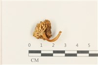 登錄號:F0037604藏品圖，第3張