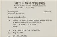 登錄號:F0037606藏品圖，第2張