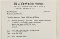 登錄號:F0037607藏品圖，第2張