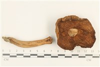 登錄號:F0037607藏品圖，第3張