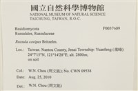 登錄號:F0037609藏品圖，第2張
