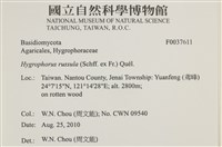 登錄號:F0037611藏品圖，第2張