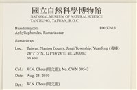 登錄號:F0037613藏品圖，第2張
