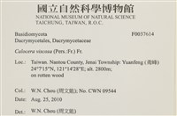 登錄號:F0037614藏品圖，第2張