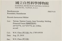登錄號:F0037616藏品圖，第2張