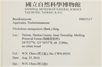 登錄號:F0037617藏品圖，第2張