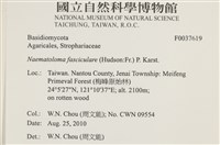 登錄號:F0037619藏品圖，第2張