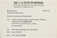 登錄號:F0037620藏品圖，第2張