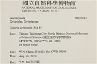 登錄號:F0037624藏品圖，第2張