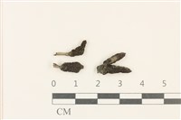 登錄號:F0037624藏品圖，第1張