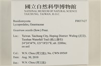 登錄號:F0037627藏品圖，第2張