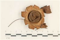 登錄號:F0037627藏品圖，第1張